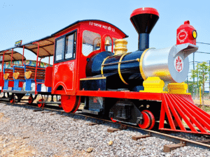 Park Toy Train