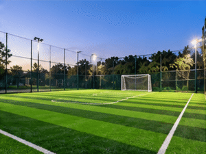 Football Goalpost